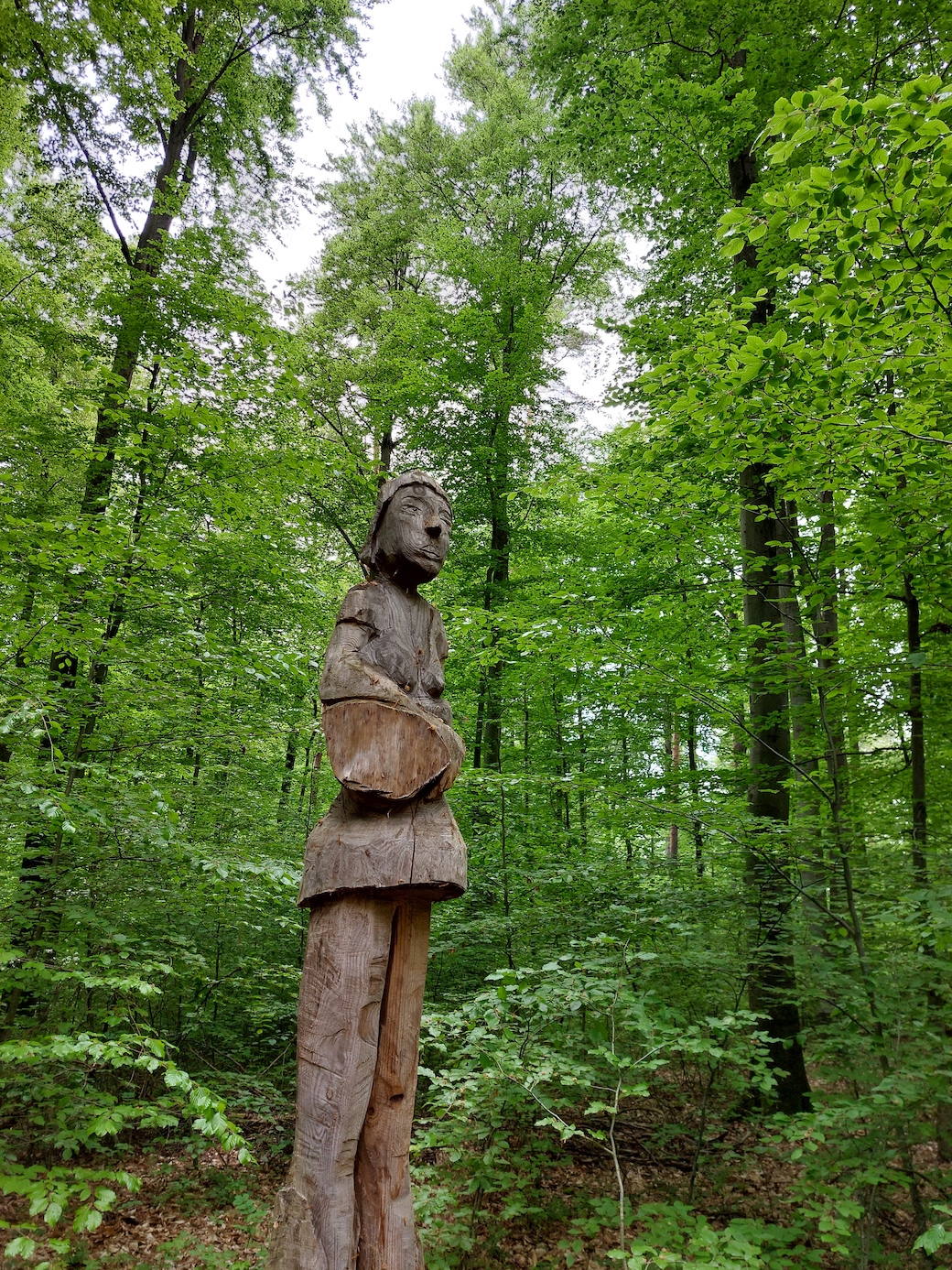 wald23_11