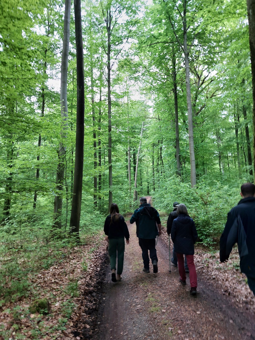 wald23_8