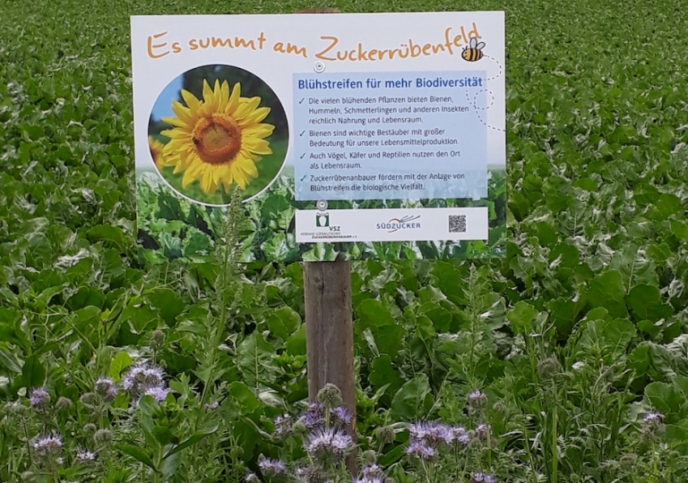 Blühstreifen 2019