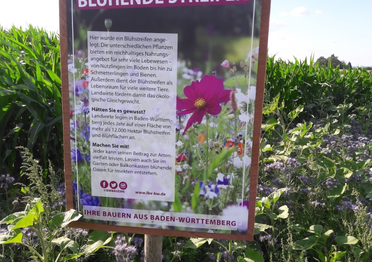 Blühstreifen