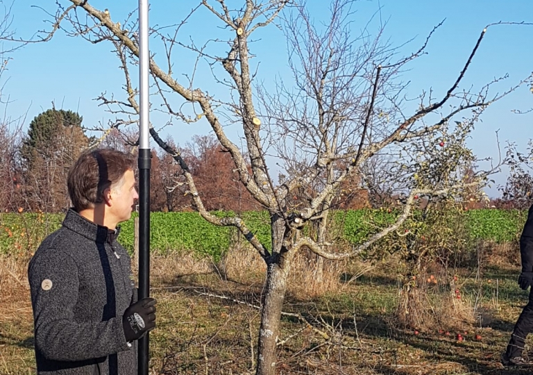 obstschnitt_18vn02
