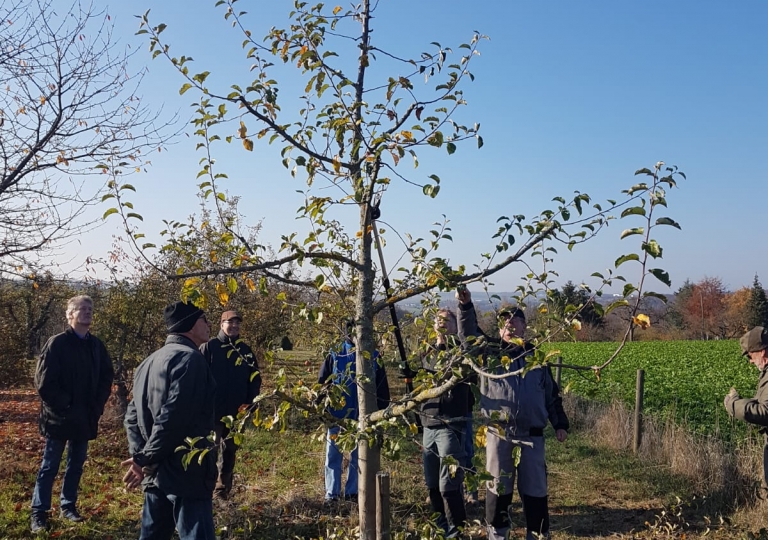 Obstbaumschnittkurs 2018