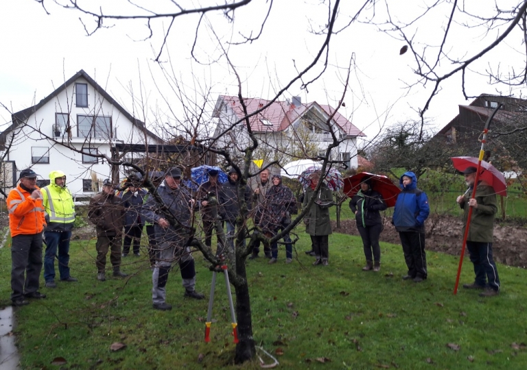 schnitt_obst2