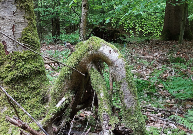 wald23_10